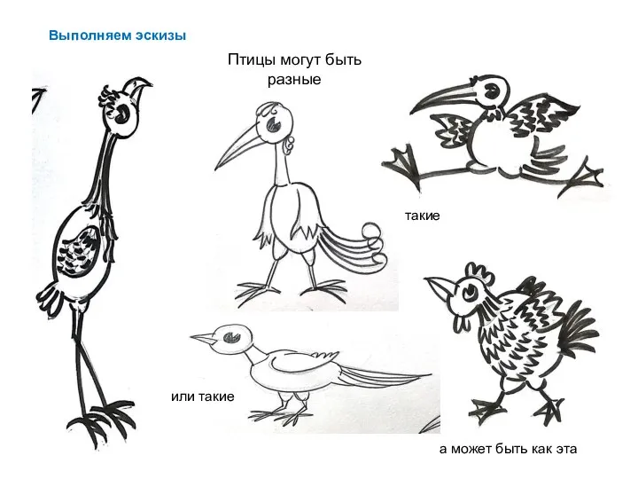 Птицы могут быть разные Выполняем эскизы такие или такие а может быть как эта