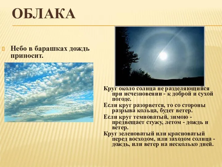 ОБЛАКА Небо в барашках дождь приносит. Круг около солнца не разделяющийся