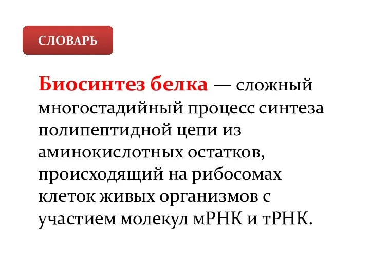 Биосинтез белка — сложный многостадийный процесс синтеза полипептидной цепи из аминокислотных