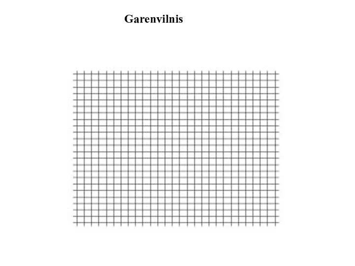 Garenvilnis