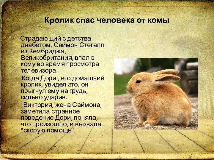 Кролик спас человека от комы Страдающий с детства диабетом, Саймон Стегалл