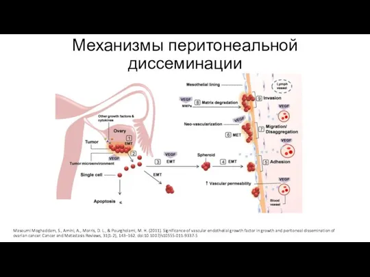 Механизмы перитонеальной диссеминации Masoumi Moghaddam, S., Amini, A., Morris, D. L.,