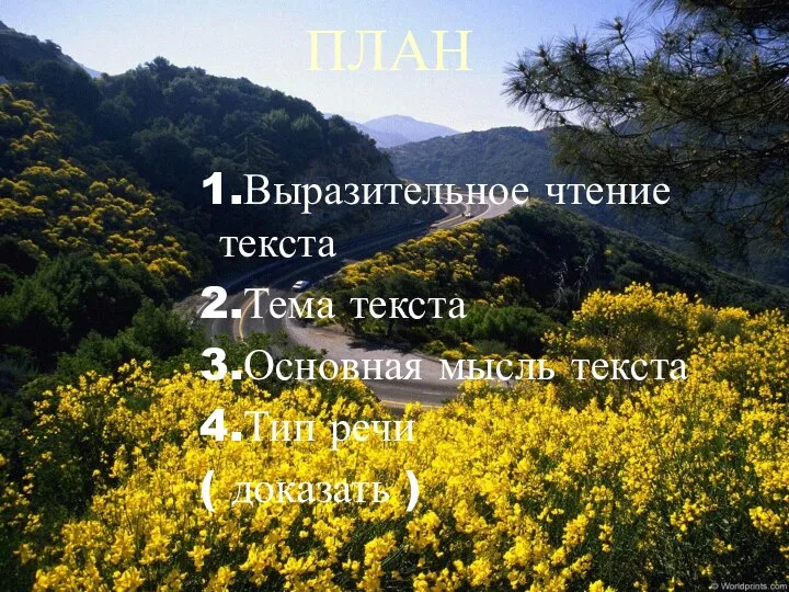 ПЛАН 1.Выразительное чтение текста 2.Тема текста 3.Основная мысль текста 4.Тип речи ( доказать )