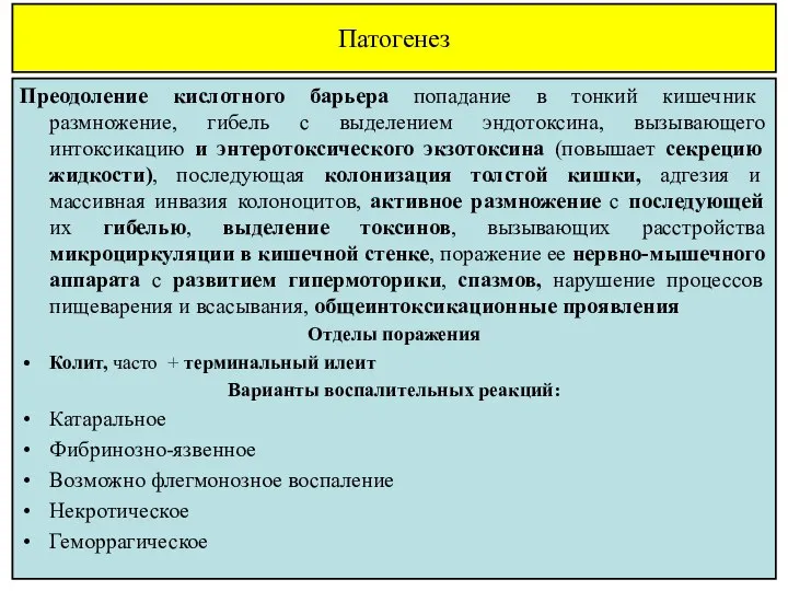 Патогенез Преодоление кислотного барьера попадание в тонкий кишечник размножение, гибель с