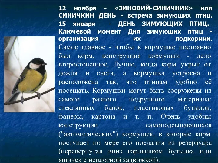 12 ноября - «ЗИНОВИЙ-СИНИЧНИК» или СИНИЧКИН ДЕНЬ - встреча зимующих птиц.