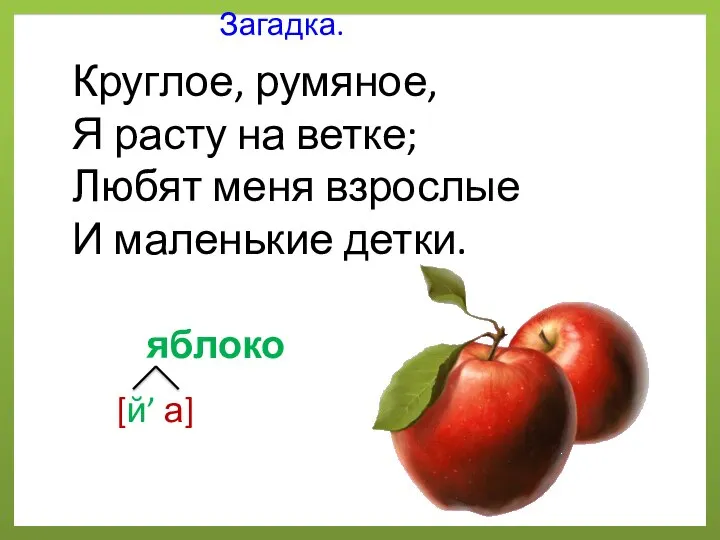 Загадка. Круглое, румяное, Я расту на ветке; Любят меня взрослые И маленькие детки. яблоко [й’ а]