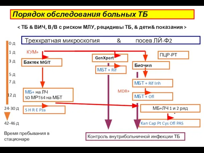 Порядок обследования больных ТБ Трехкратная микроскопия & посев ЛЙ-Ф2 КУМ+ Бактек