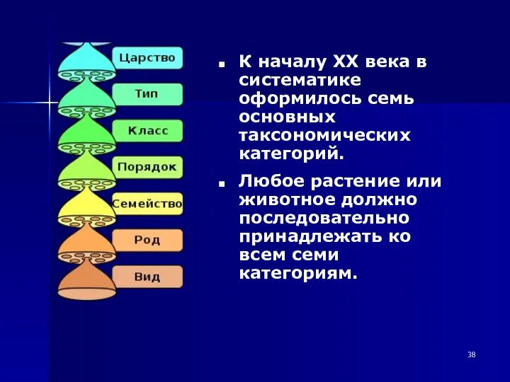 К началу XX века в систематике оформилось семь основных таксономических категорий.