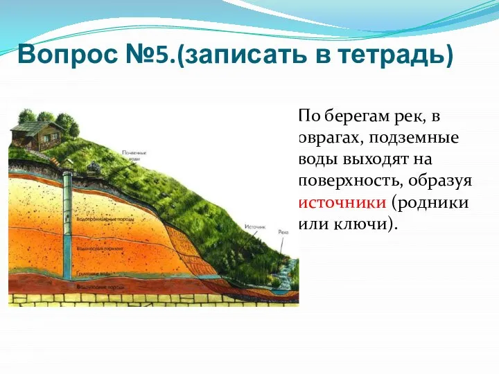 Вопрос №5.(записать в тетрадь) По берегам рек, в оврагах, подземные воды