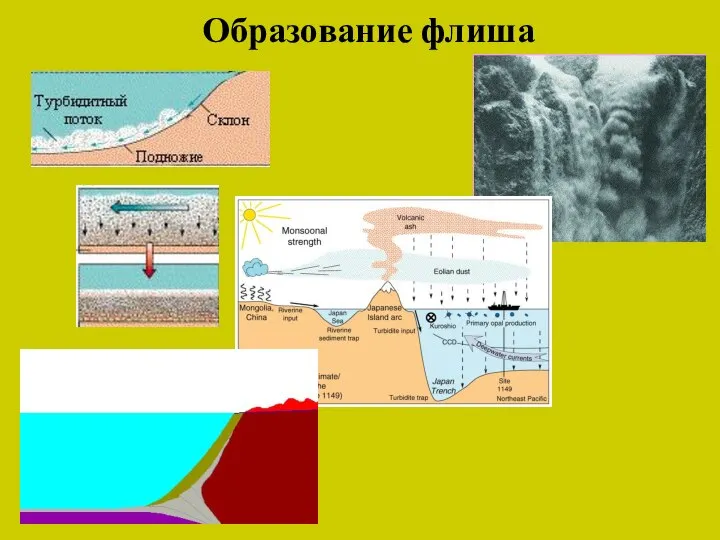 Образование флиша