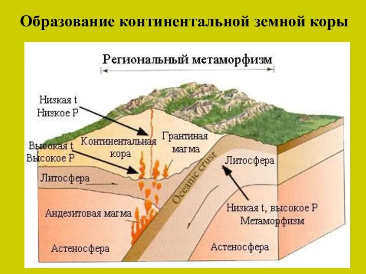 Образование континентальной земной коры