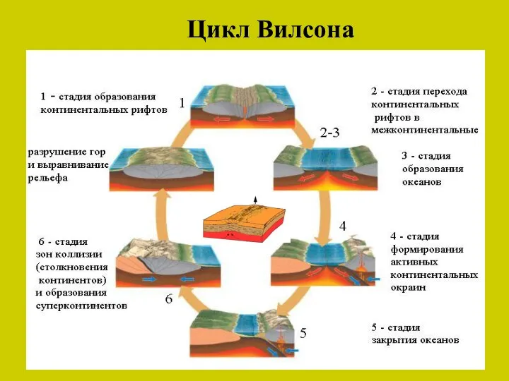 Цикл Вилсона