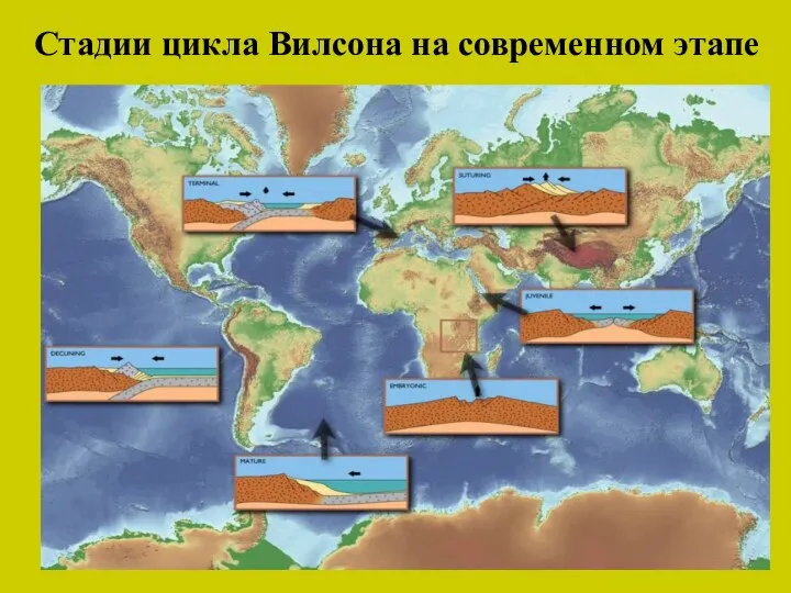 Стадии цикла Вилсона на современном этапе