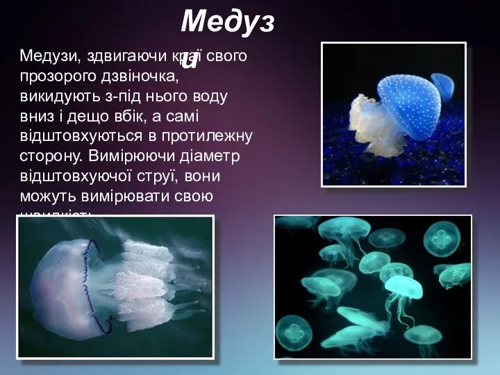 Медузи Медузи, здвигаючи краї свого прозорого дзвіночка, викидують з-під нього воду
