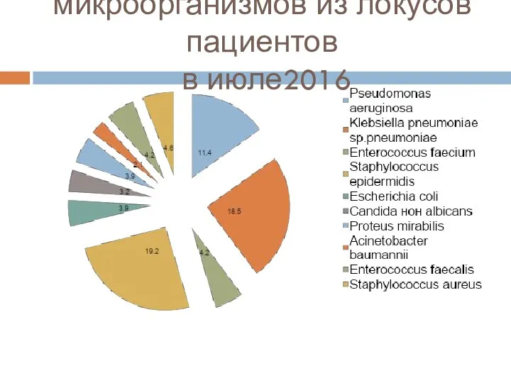 ННИИПК, доля микроорганизмов из локусов пациентов в июле2016