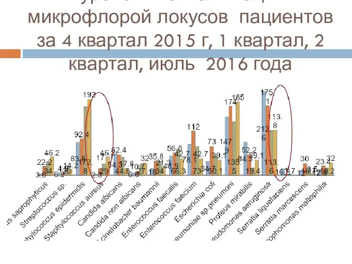 ННИИПК уровень контаминации микрофлорой локусов пациентов за 4 квартал 2015 г,