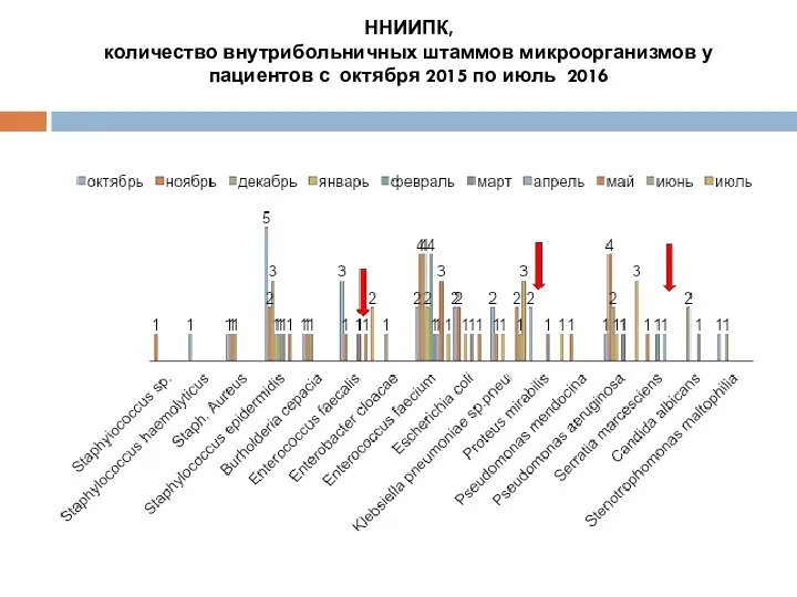 ННИИПК, количество внутрибольничных штаммов микроорганизмов у пациентов с октября 2015 по июль 2016