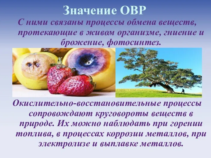 Значение ОВР С ними связаны процессы обмена веществ, протекающие в живом