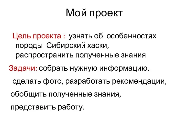 Мой проект Цель проекта : узнать об особенностях породы Сибирский хаски,