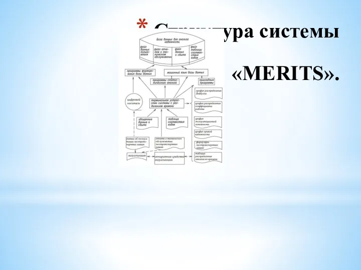 Структура системы «MERITS».