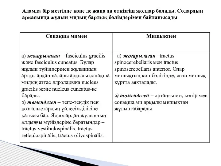 Адамда бір мезгілде көне де жаңа да өткізгіш жолдар болады. Солардың