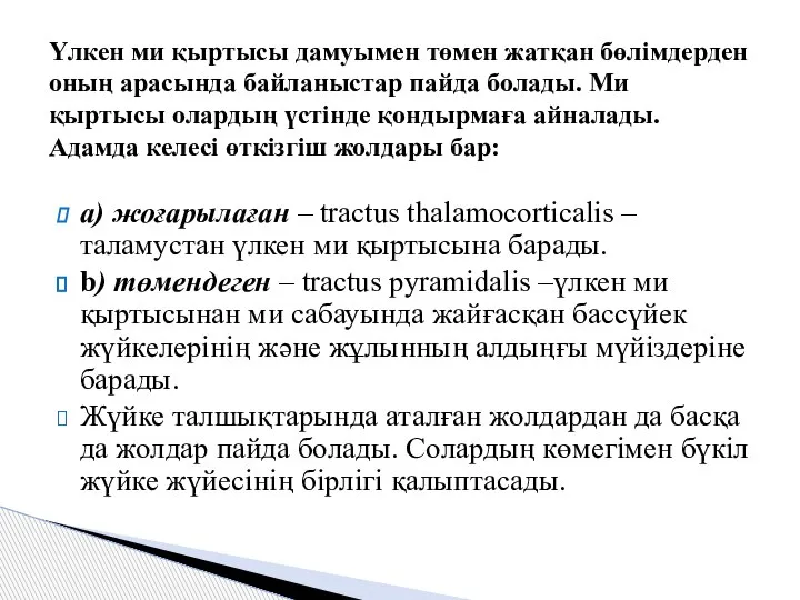 a) жоғарылаған – tractus thalamocorticalis – таламустан үлкен ми қыртысына барады.