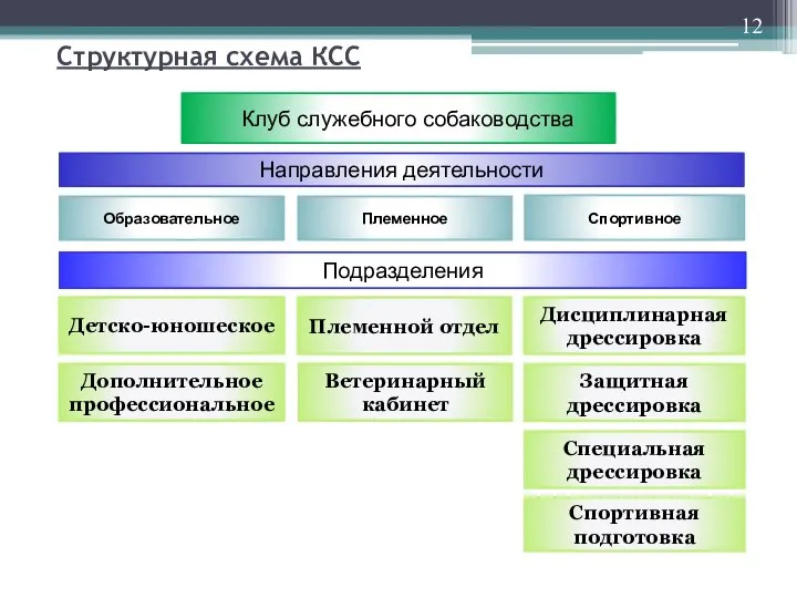 Клуб служебного собаководства Направления деятельности Образовательное Племенное Спортивное Детско-юношеское Дополнительное профессиональное