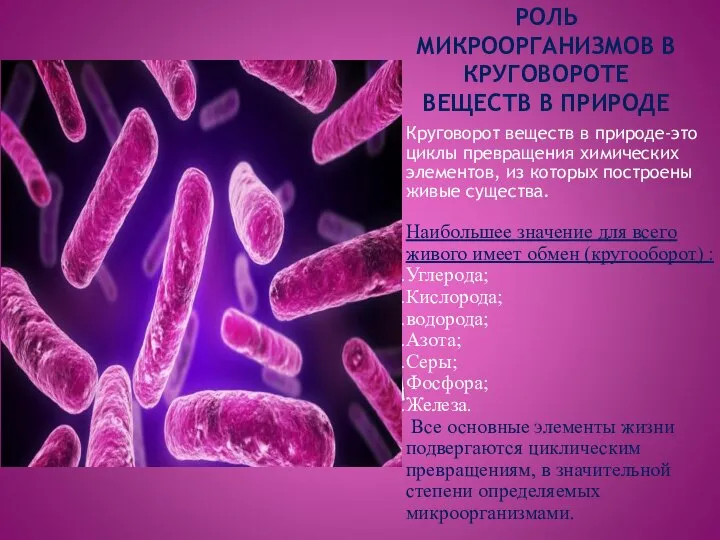 РОЛЬ МИКРООРГАНИЗМОВ В КРУГОВОРОТЕ ВЕЩЕСТВ В ПРИРОДЕ Круговорот веществ в природе-это