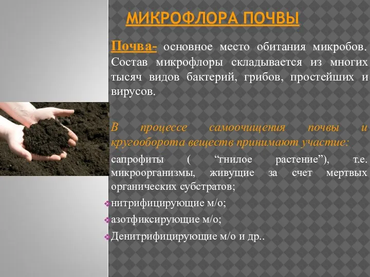 МИКРОФЛОРА ПОЧВЫ Почва- основное место обитания микробов. Состав микрофлоры складывается из