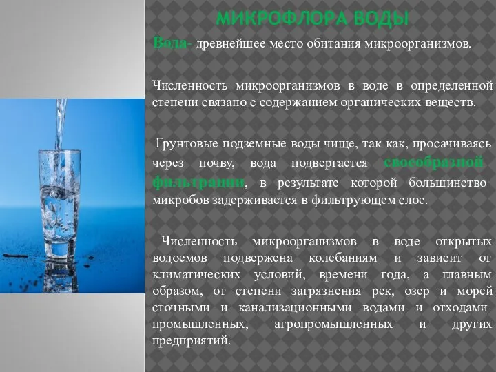 МИКРОФЛОРА ВОДЫ Вода- древнейшее место обитания микроорганизмов. Численность микроорганизмов в воде