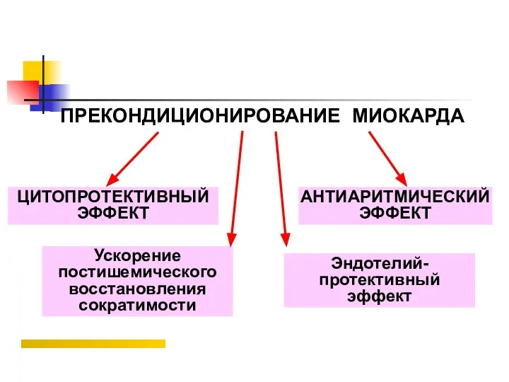 ПРЕКОНДИЦИОНИРОВАНИЕ МИОКАРДА АНТИАРИТМИЧЕСКИЙ ЭФФЕКТ ЦИТОПРОТЕКТИВНЫЙ ЭФФЕКТ Ускорение постишемического восстановления сократимости Эндотелий-протективный эффект