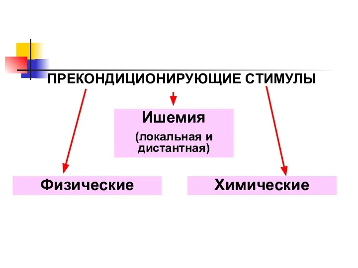 ПРЕКОНДИЦИОНИРУЮЩИЕ СТИМУЛЫ Ишемия (локальная и дистантная) Химические Физические