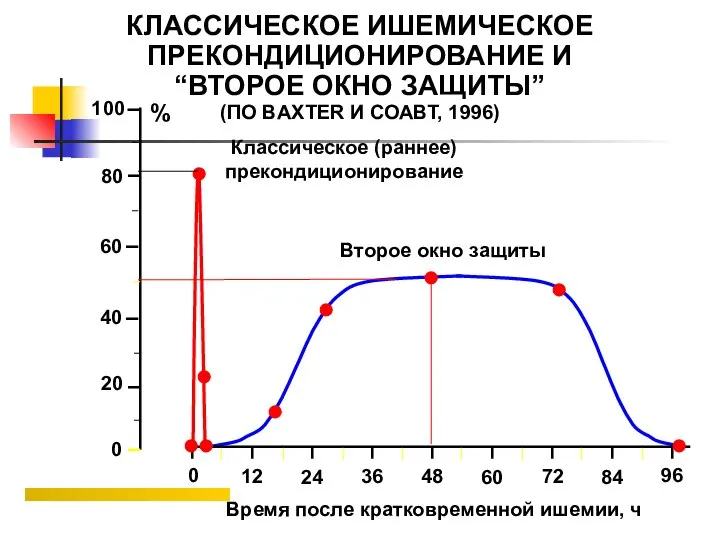 КЛАССИЧЕСКОЕ ИШЕМИЧЕСКОЕ ПРЕКОНДИЦИОНИРОВАНИЕ И “ВТОРОЕ ОКНО ЗАЩИТЫ” (ПО BAXTER И СОАВТ, 1996)