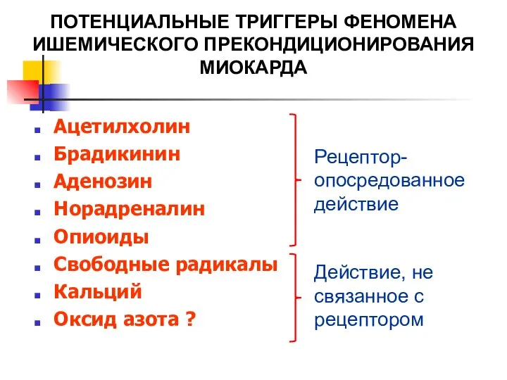 ПОТЕНЦИАЛЬНЫЕ ТРИГГЕРЫ ФЕНОМЕНА ИШЕМИЧЕСКОГО ПРЕКОНДИЦИОНИРОВАНИЯ МИОКАРДА Ацетилхолин Брадикинин Аденозин Норадреналин Опиоиды