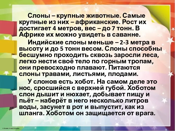 Слоны – крупные животные. Самые крупные из них – африканские. Рост