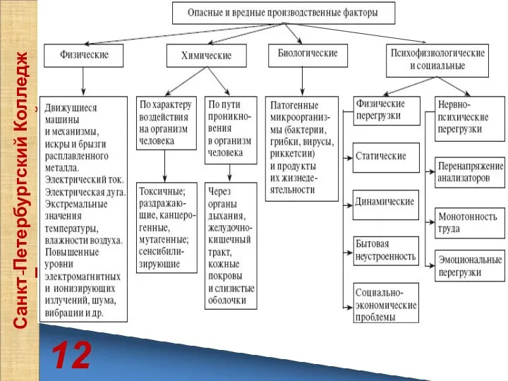 12 Санкт-Петербургский Колледж Телекоммуникаций