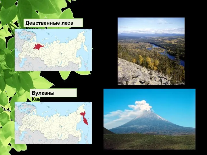 Объекты природного наследия ЮНЕСКО Девственные леса Коми Вулканы Камчатки