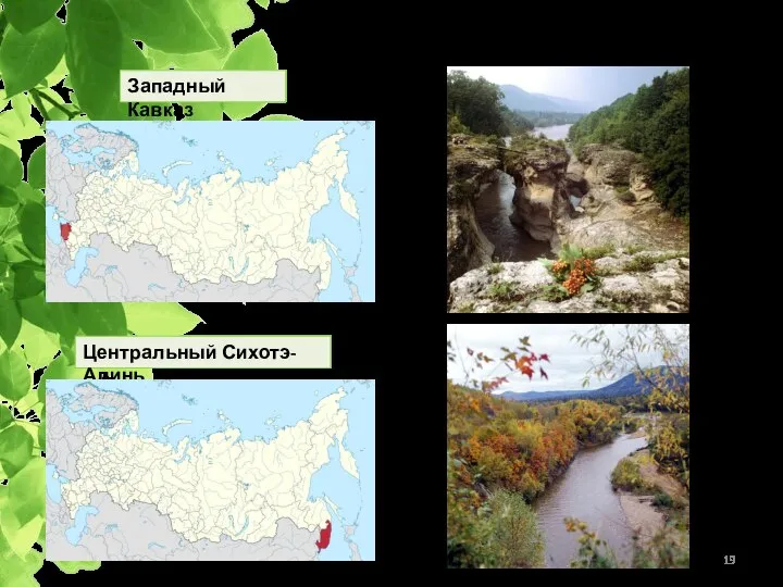 Объекты природного наследия ЮНЕСКО Западный Кавказ Центральный Сихотэ-Алинь