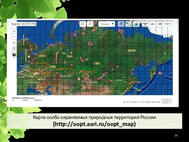 Карта особо охраняемых природных территорий России (http://oopt.aari.ru/oopt_map) ООПТ