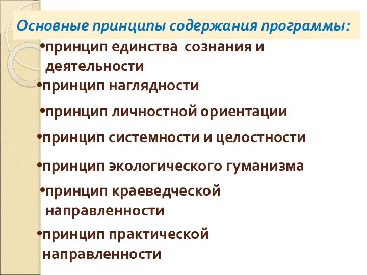 Основные принципы содержания программы: принцип единства сознания и деятельности принцип системности