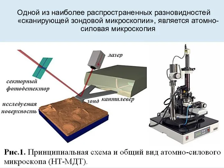 Одной из наиболее распространенных разновидностей «сканирующей зондовой микроскопии», является атомно-силовая микроскопия