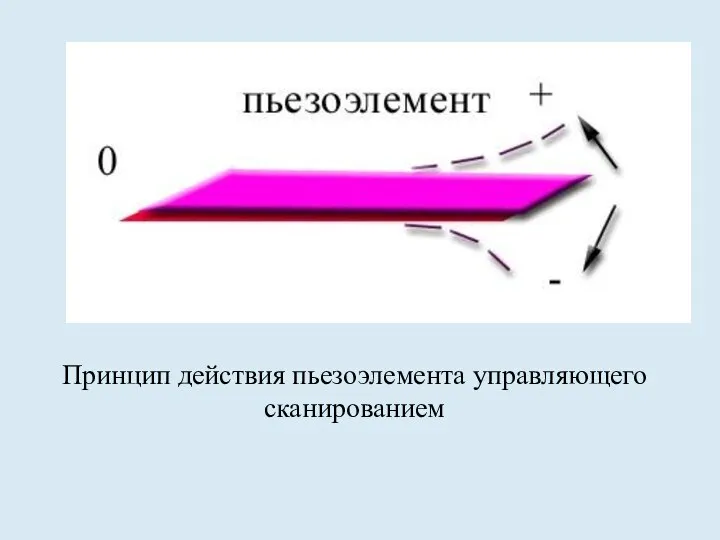 Принцип действия пьезоэлемента управляющего сканированием