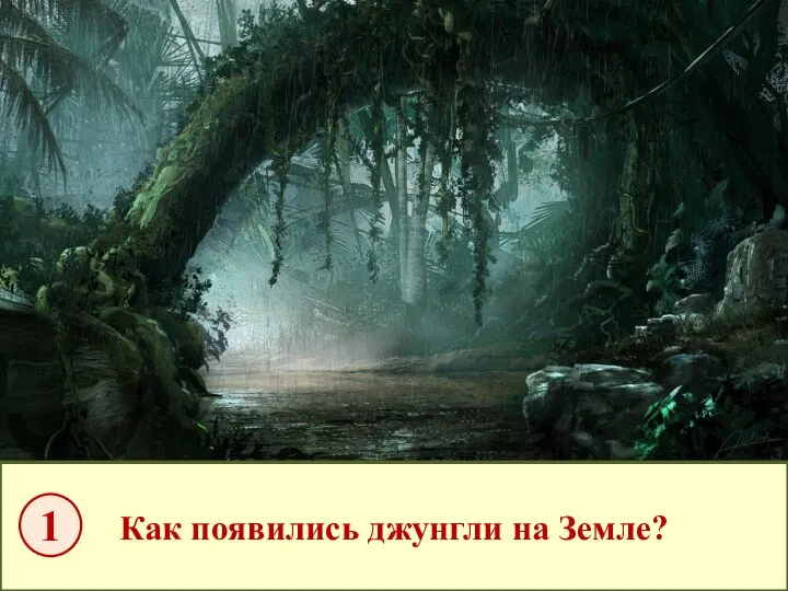 Как появились джунгли на Земле? 1