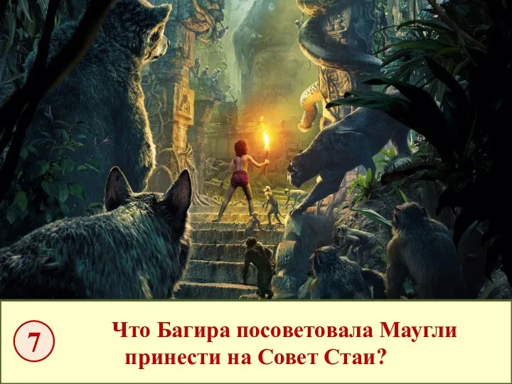 Что Багира посоветовала Маугли принести на Совет Стаи? 7