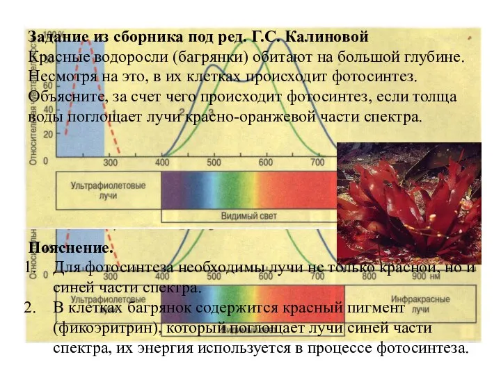 Задание из сборника под ред. Г.С. Калиновой Красные водоросли (багрянки) обитают