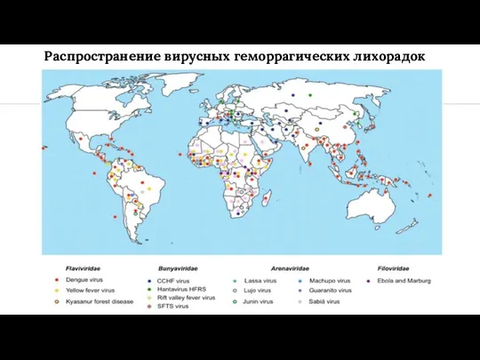 Распространение вирусных геморрагических лихорадок