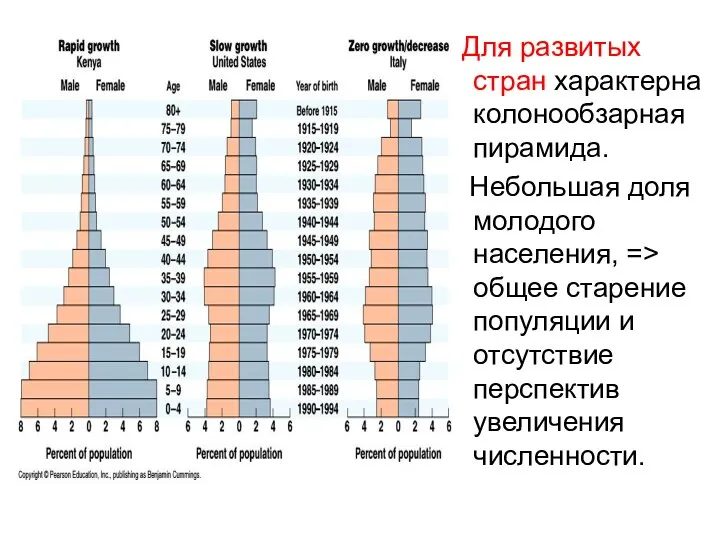 Для развитых стран характерна колонообзарная пирамида. Небольшая доля молодого населения, =>