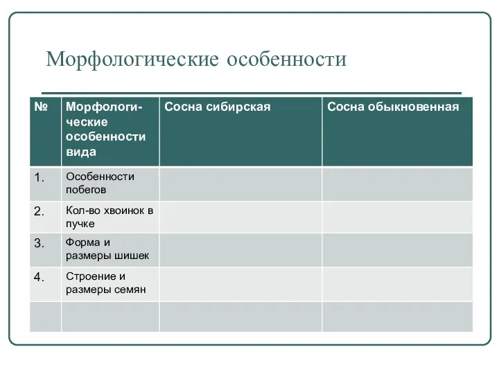 Морфологические особенности