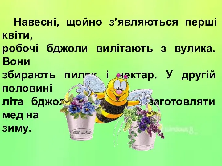 Навесні, щойно з’являються перші квіти, робочі бджоли вилітають з вулика. Вони