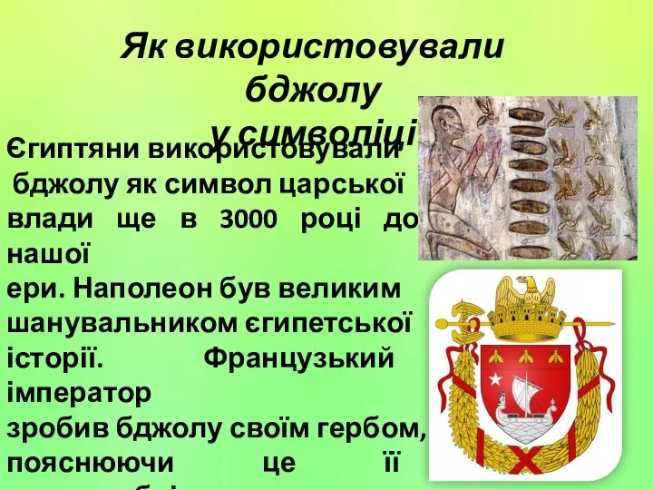 Як використовували бджолу у символіці Єгиптяни використовували бджолу як символ царської